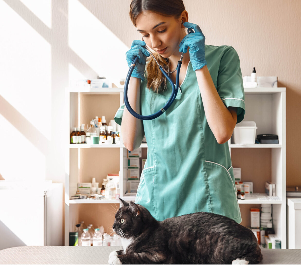 Tips for Creating a Heart-Centered and Low-Stress Veterinary Practice